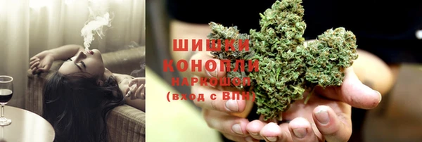 гидра Михайловск
