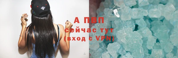 гидра Михайловск