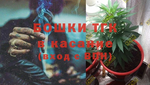 гидра Михайловск