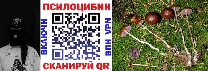 дарк нет какой сайт  Шумерля  Псилоцибиновые грибы Psilocybe  магазин продажи наркотиков 